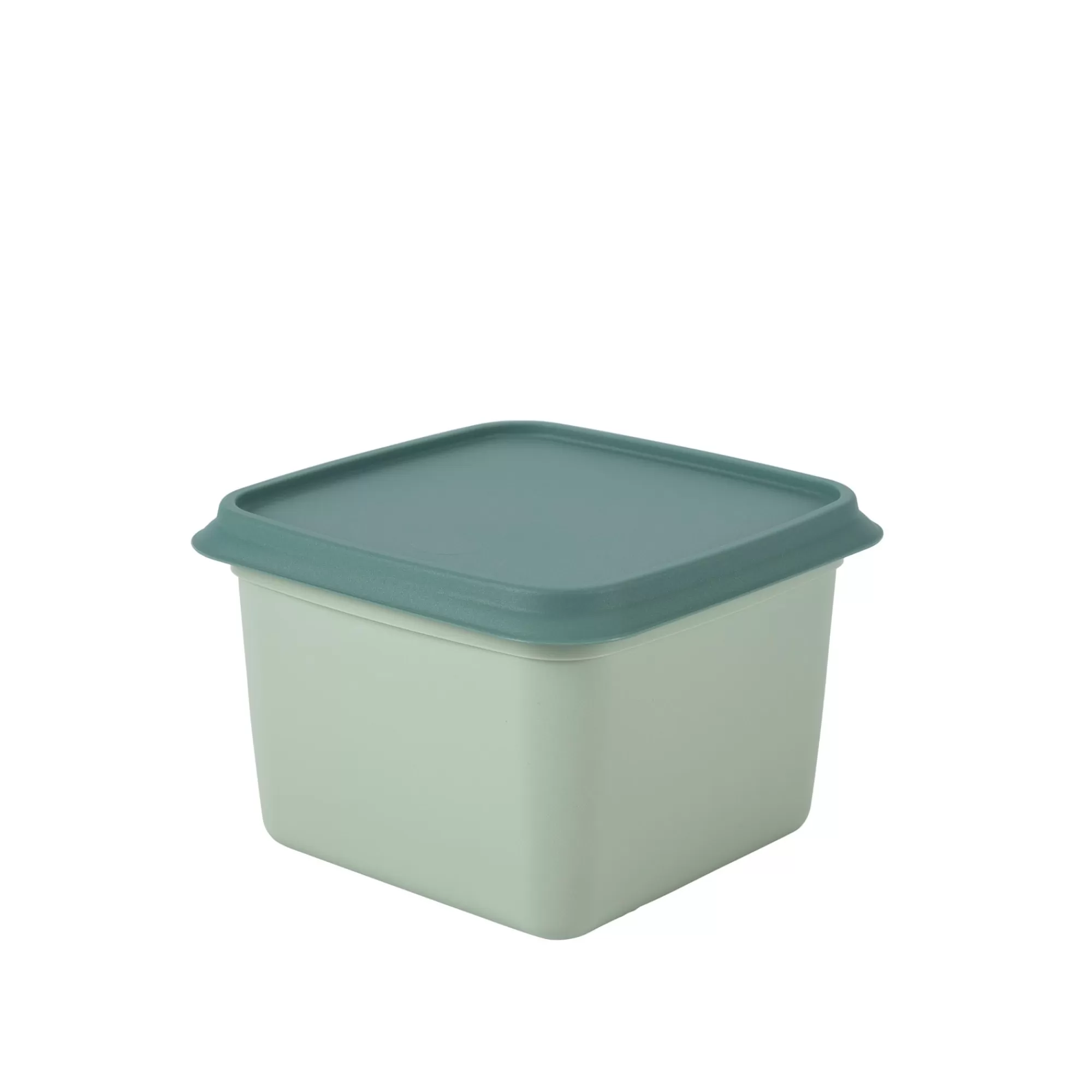 CASA Freezer Scatole X Freezer Set Di 10 Menta, Verde Scuro* Scatole Conserva Vivande