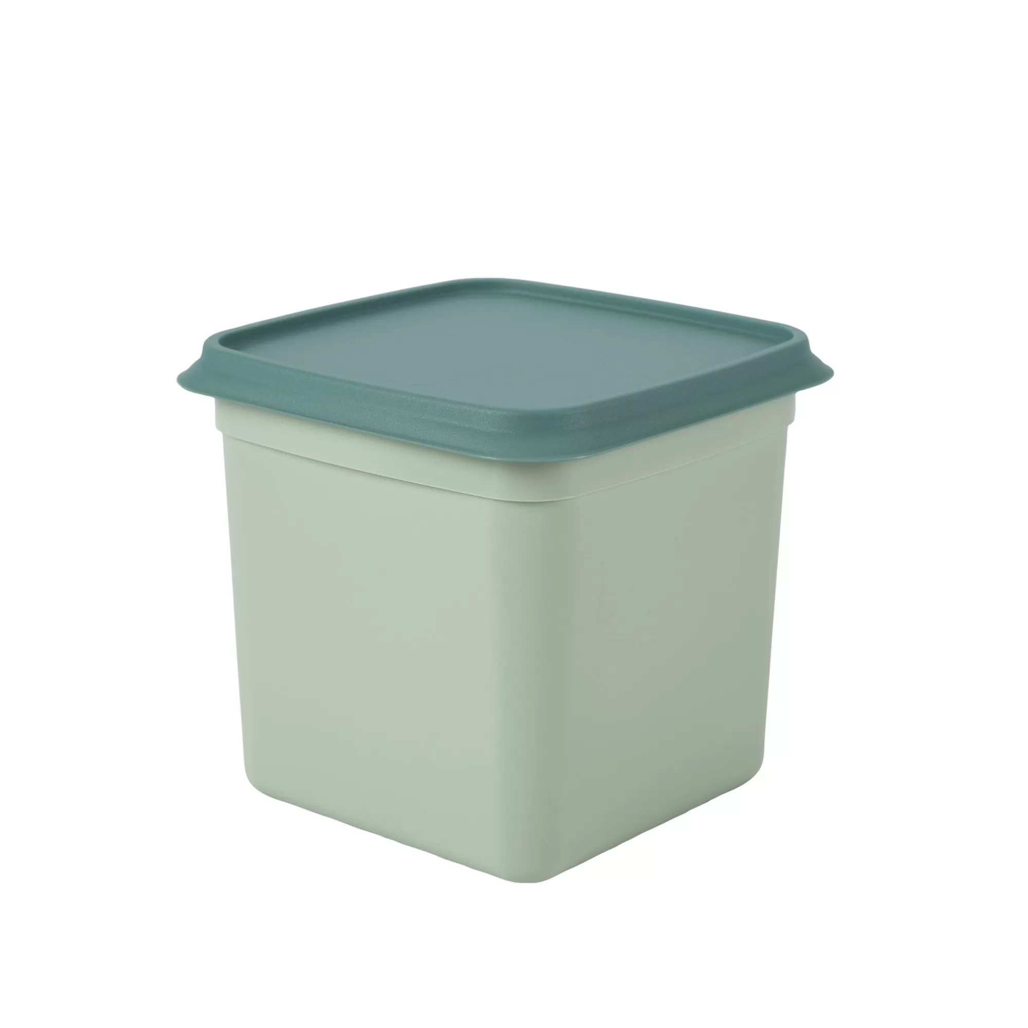 CASA Freezer Scatole X Freezer Set Di 10 Menta, Verde Scuro* Scatole Conserva Vivande