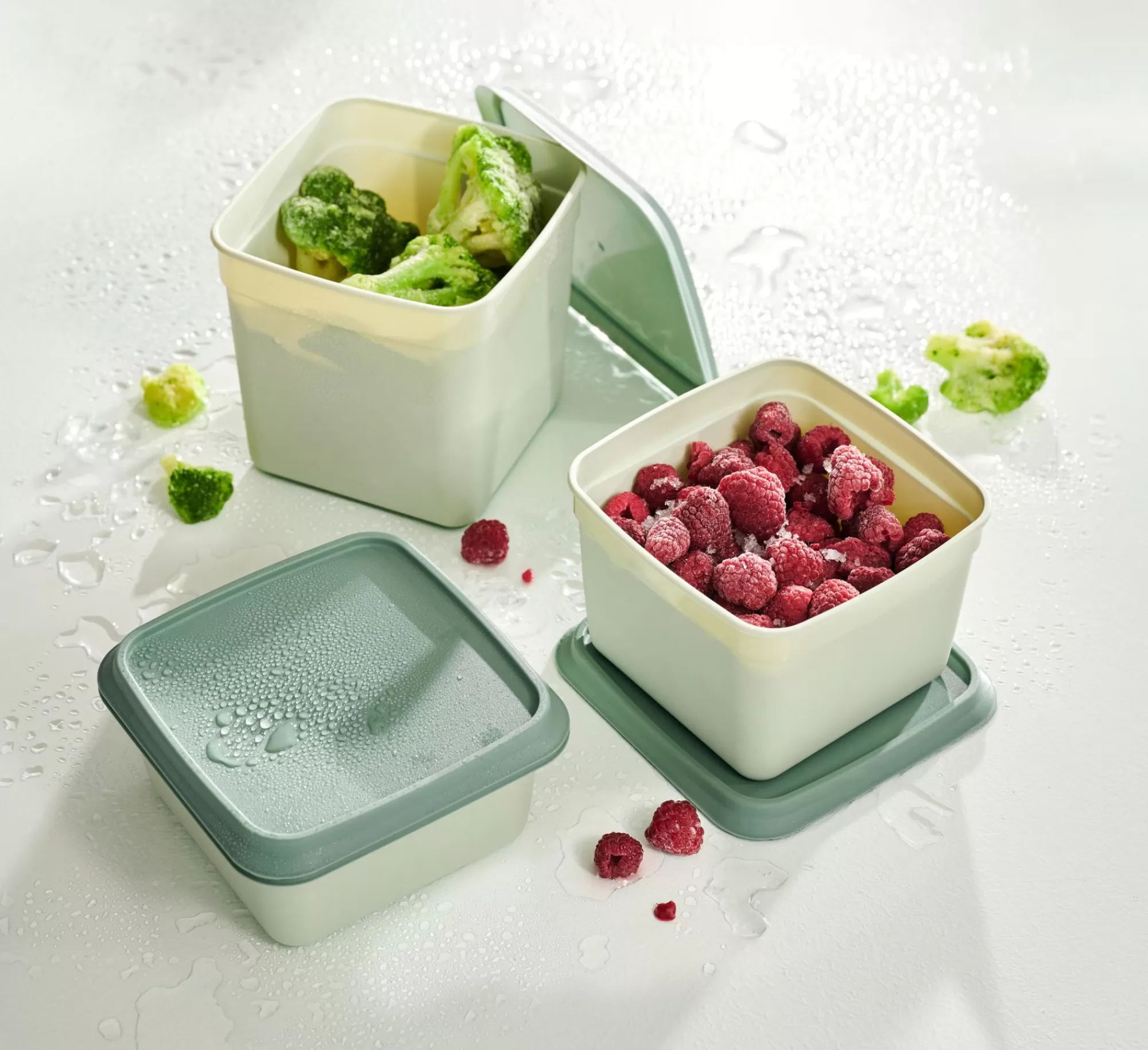 CASA Freezer Scatole X Freezer Set Di 10 Menta, Verde Scuro* Scatole Conserva Vivande