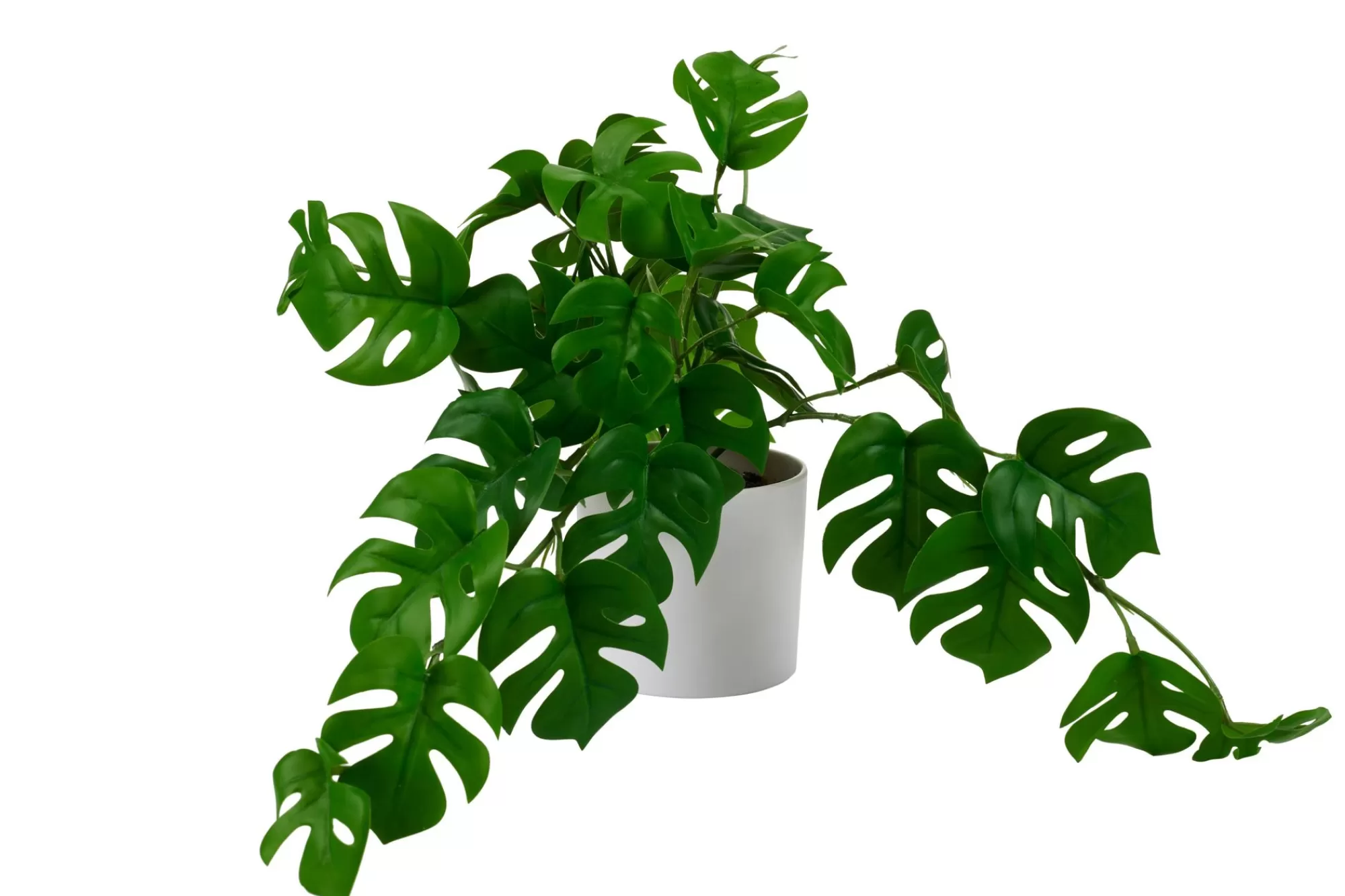 CASA Monstera Pianta Vari Colori, Bianco, Verde* Piante Artificiali